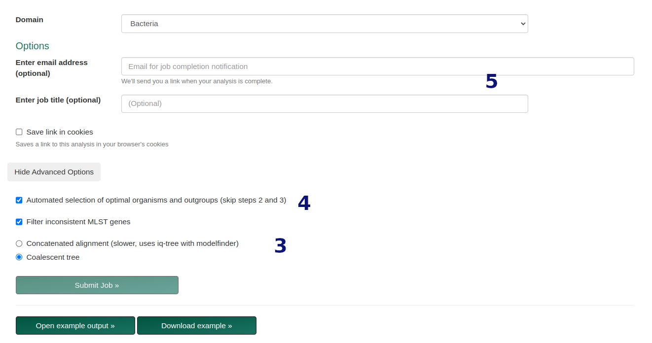 denovo options