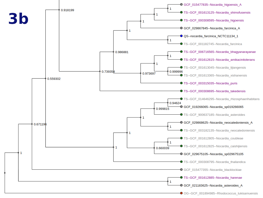 siderophore potential